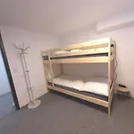 At Winterhafen لينتز